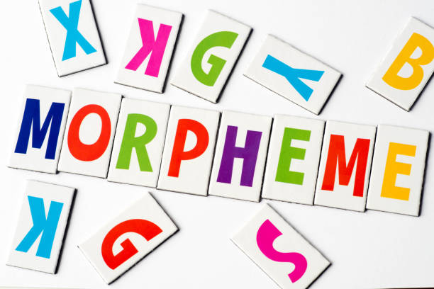 Morphology in the Science of Reading: What Teachers Need to Know